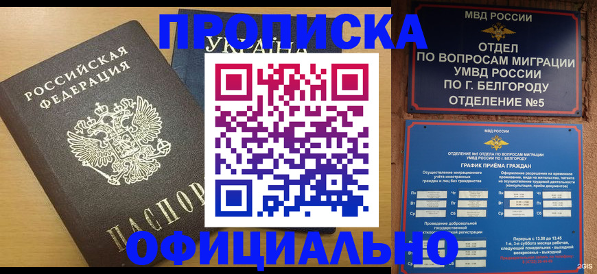 стоимость помощи с пропиской в Бородино