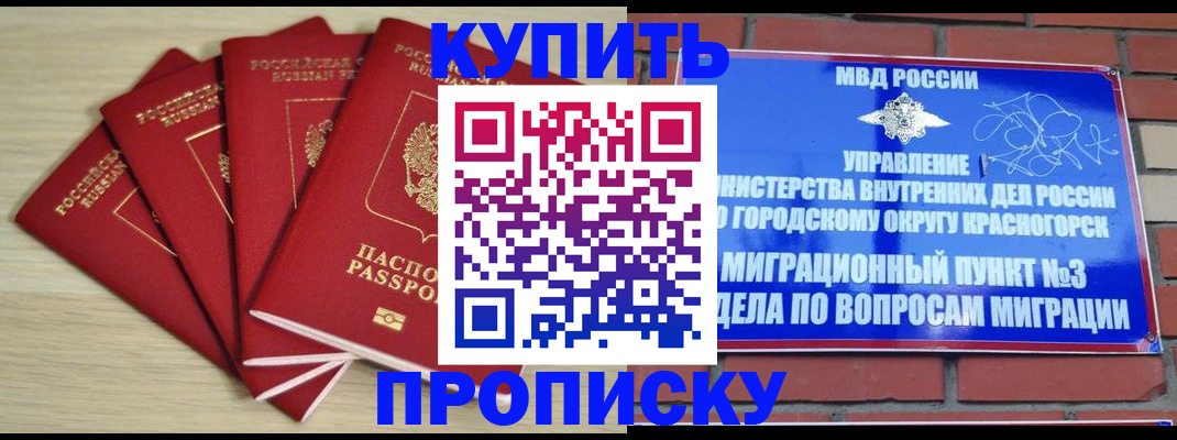 пропишу в квартире в Бородино